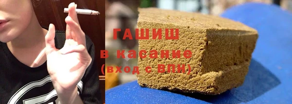 стаф Богданович