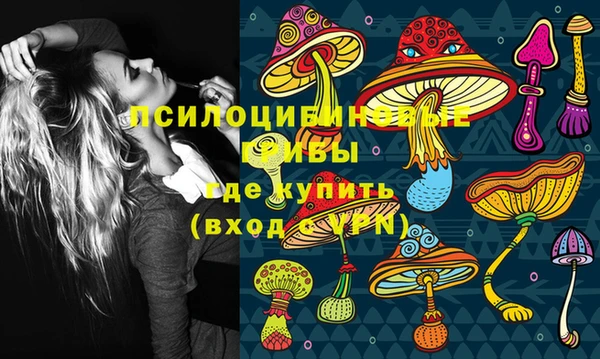 гашиш Белокуриха