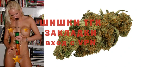 СК Богородицк