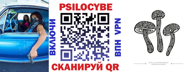 Псилоцибиновые грибы ЛСД  Купить где  Кизляр 